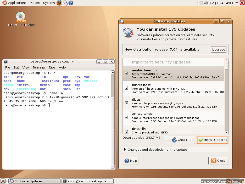 Screenshot: linux ubuntu ubuntu610 06